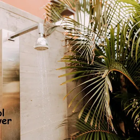 Collection Madronal - Heated Pool Bbq Xbox *