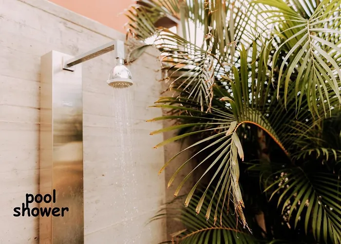 Collection Madronal - Heated Pool Bbq Xbox *